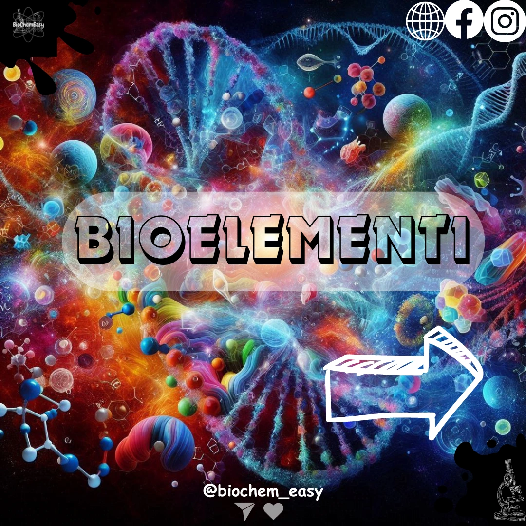 FlashCards: I Bioelementi